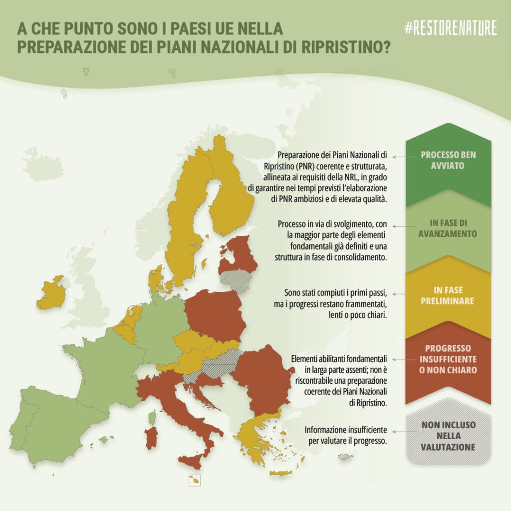 nature restoration law, sull’implementazione serve un cambio di passo