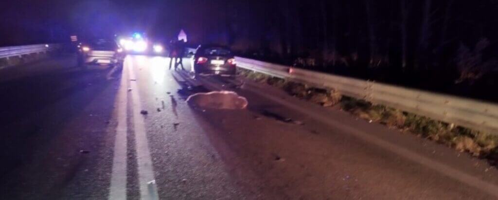ancora un orso investito nelle strade d’abruzzo